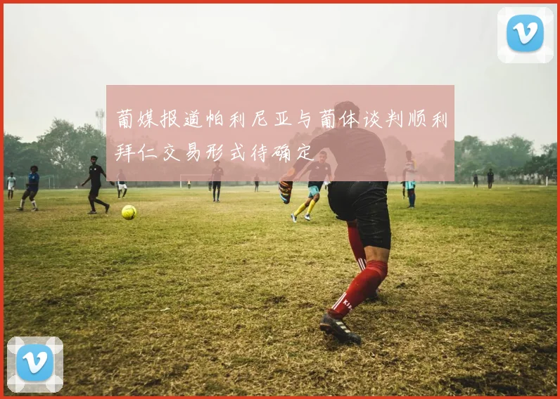 葡媒报道帕利尼亚与葡体谈判顺利拜仁交易形式待确定
