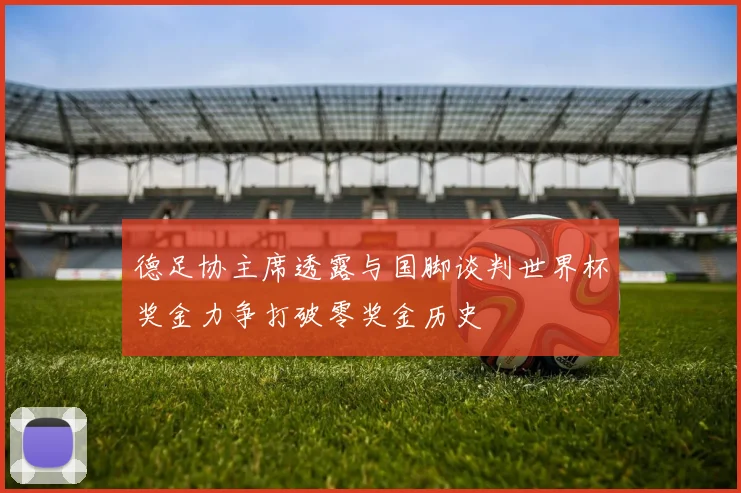 德足协主席透露与国脚谈判世界杯奖金力争打破零奖金历史